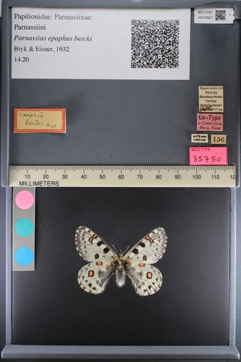 Media type: image;   Entomology 70621